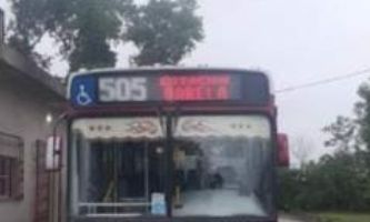 F. Varela: Pasajero del colectivo 505 hirió a chófer y a perrito de la terminal